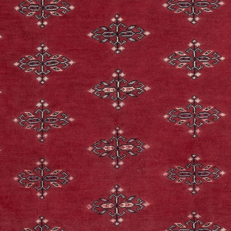 Tappeto Pakistani - 195 x 140 cm - rosso