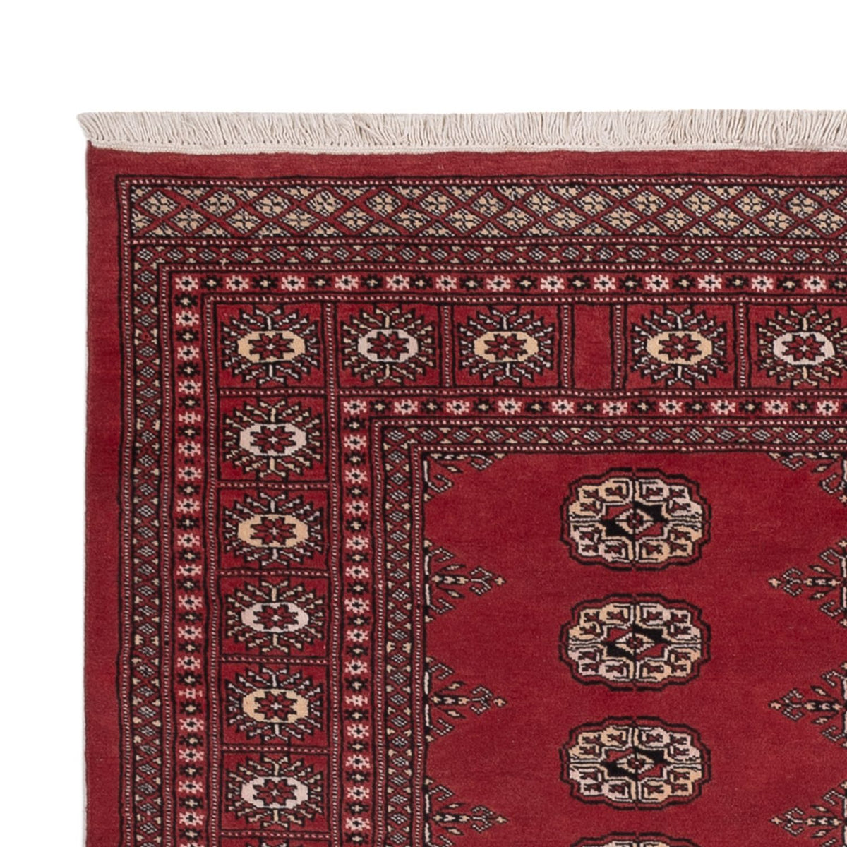Tappeto Pakistani - 185 x 138 cm - rosso