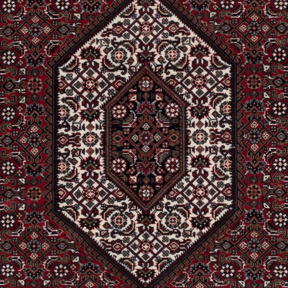 Tappeto orientale - Bidjar - Indo - 204 x 145 cm - marrone scuro
