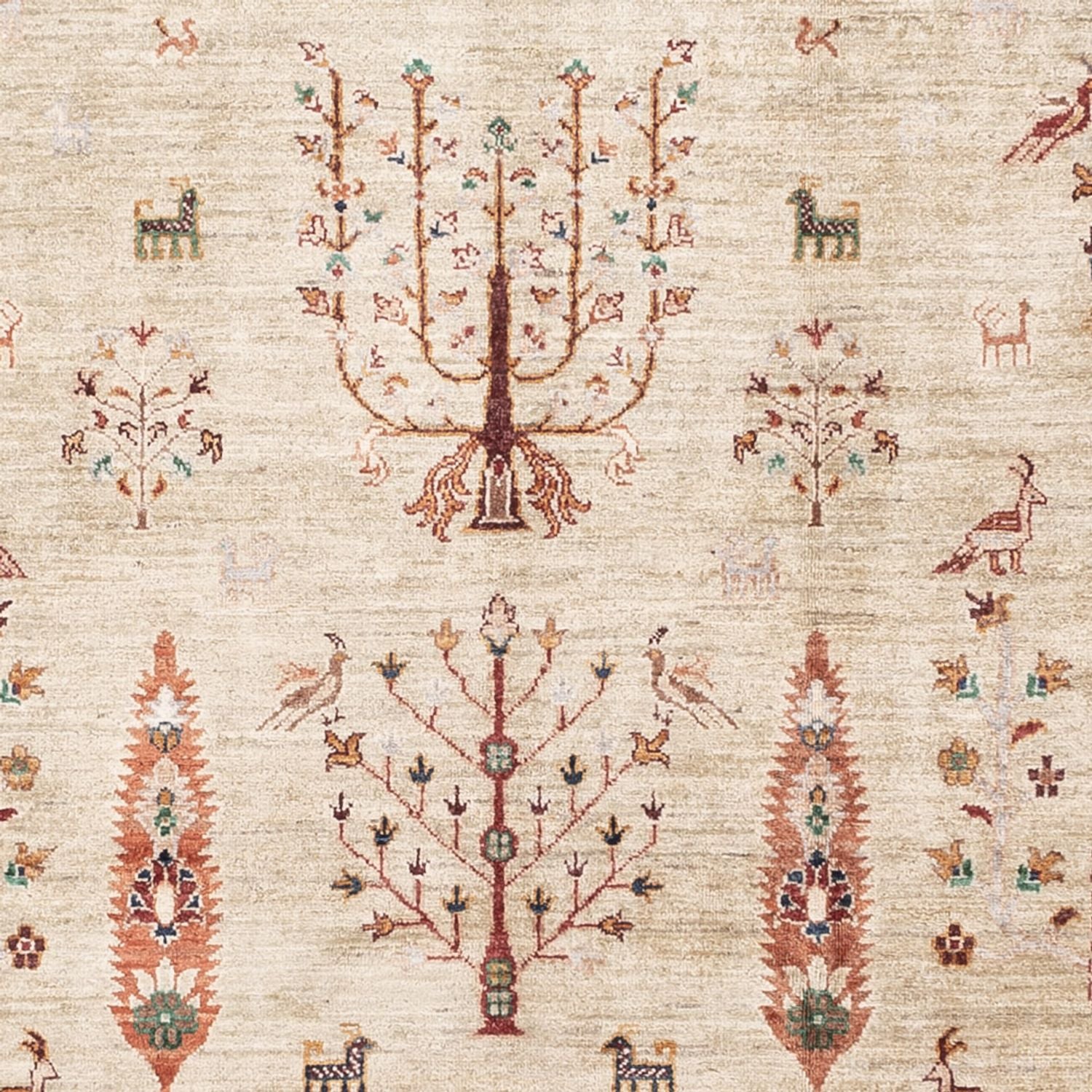 Tappeto Ziegler - Ariana - 305 x 207 cm - beige