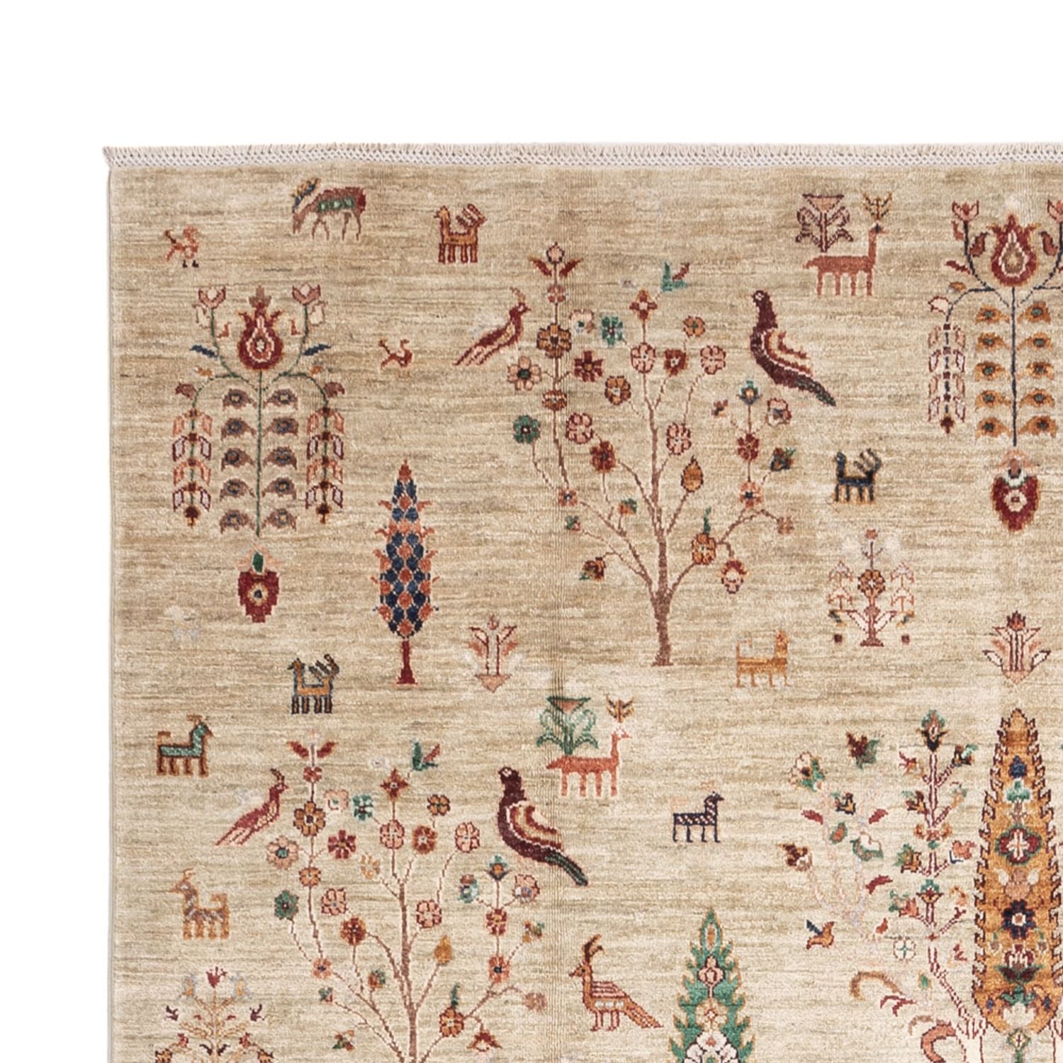 Tappeto Ziegler - Ariana - 305 x 207 cm - beige