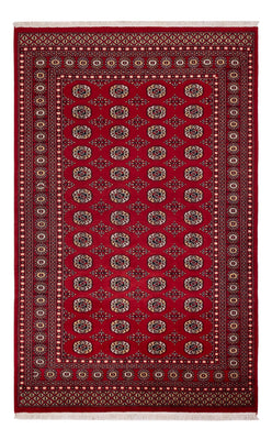 Tappeto Pakistani - 256 x 167 cm - rosso