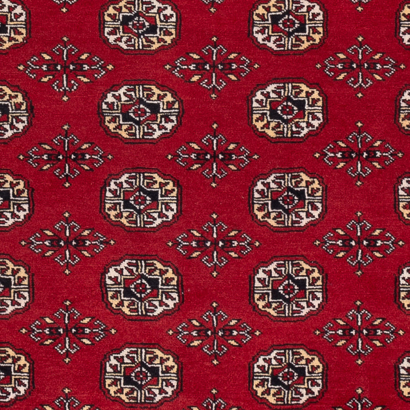 Tappeto Pakistani - 256 x 167 cm - rosso