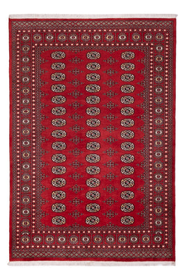 Tappeto Pakistani - 243 x 168 cm - rosso