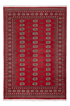 Tappeto Pakistani - 243 x 168 cm - rosso