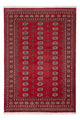 Tappeto Pakistani 243x168cm - Tappeto orientale