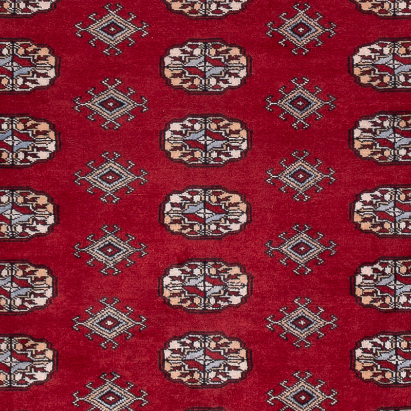 Tappeto Pakistani - 241 x 154 cm - rosso