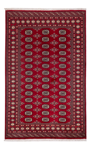 Tappeto Pakistani - 244 x 154 cm - rosso