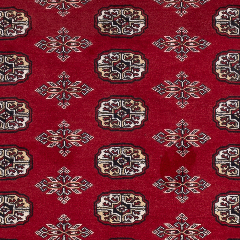 Tappeto Pakistani - 244 x 154 cm - rosso