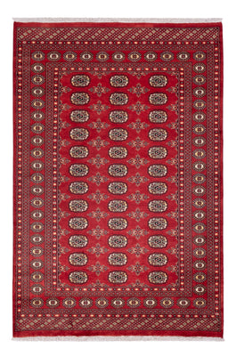Tappeto Pakistani - 237 x 158 cm - rosso