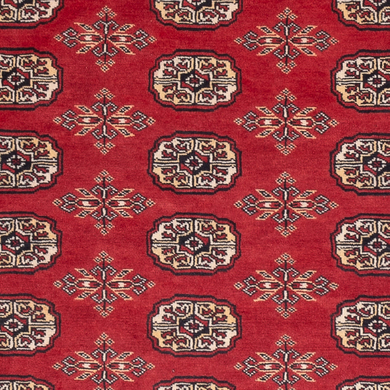 Tappeto Pakistani - 237 x 158 cm - rosso
