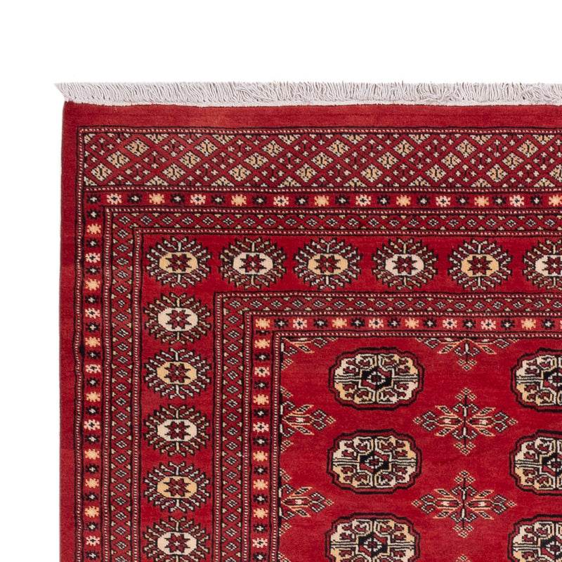 Tappeto Pakistani - 237 x 158 cm - rosso