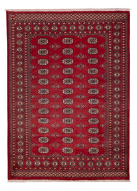 Tappeto Pakistani - 240 x 171 cm - rosso