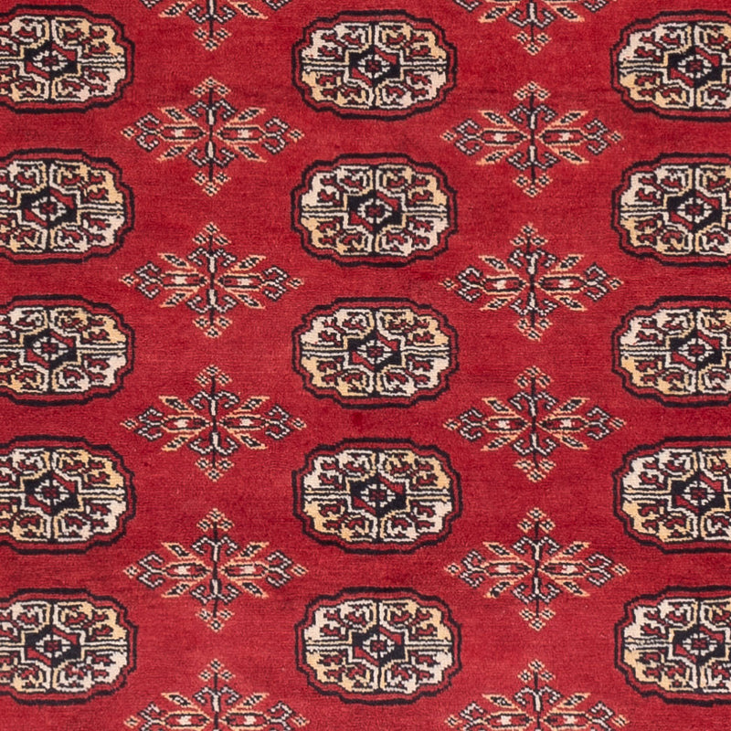 Tappeto Pakistani - 250 x 159 cm - rosso