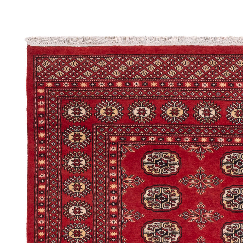 Tappeto Pakistani - 250 x 159 cm - rosso
