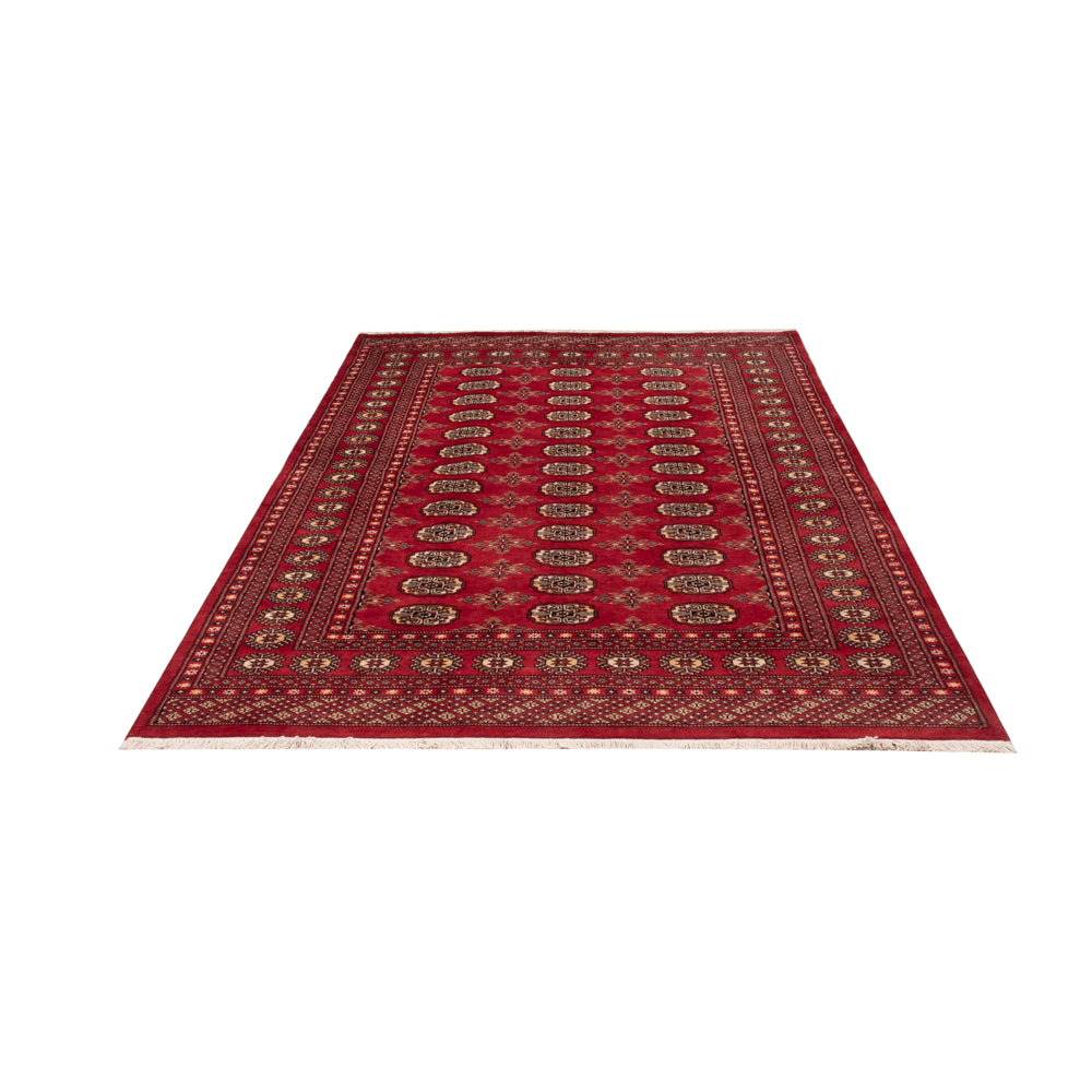 Tappeto Pakistani - 250 x 159 cm - rosso