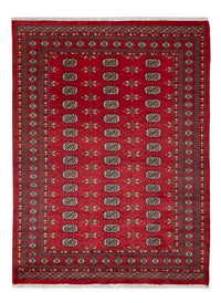 Tappeto Pakistani - 231 x 172 cm - rosso