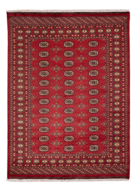 Tappeto Pakistani - 241 x 173 cm - rosso
