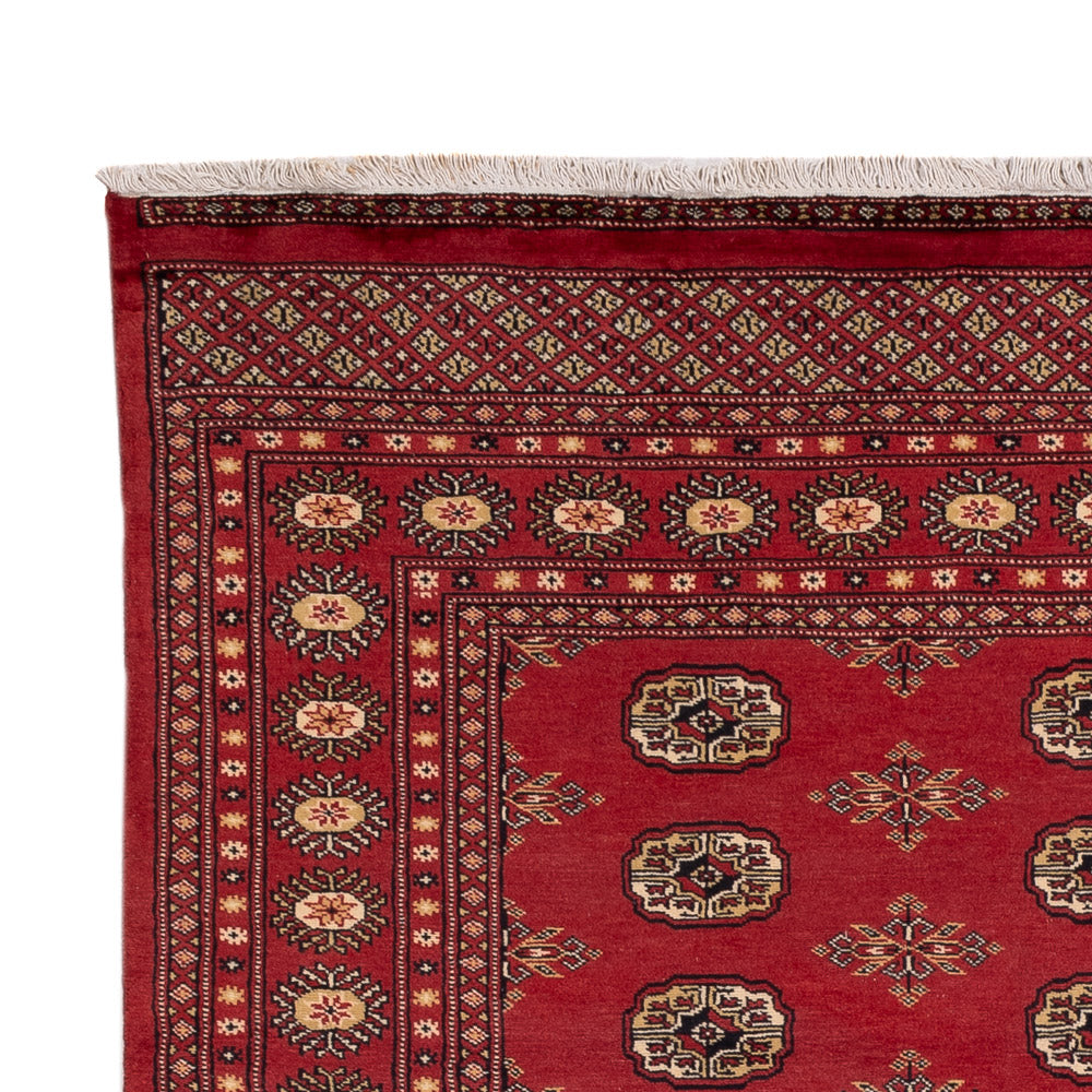 Tappeto Pakistani - 241 x 173 cm - rosso