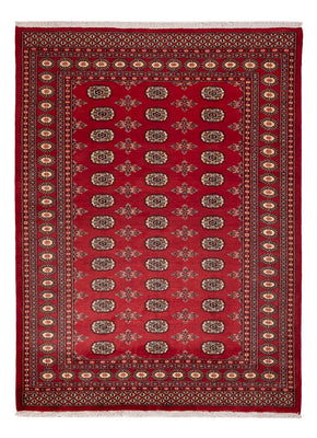 Tappeto Pakistani - 233 x 174 cm - rosso
