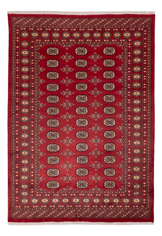 Tappeto Pakistani - 245 x 170 cm - rosso