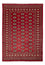 Tappeto Pakistani - 245 x 170 cm - rosso