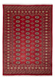 Tappeto Pakistani 245x170cm - Tappeto orientale