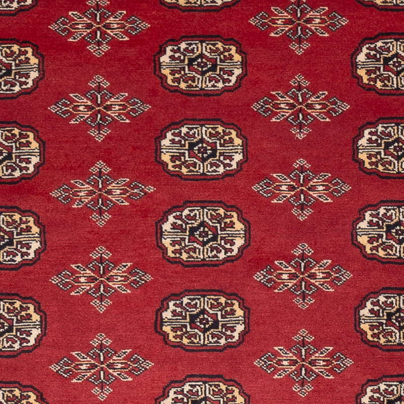 Tappeto Pakistani - 245 x 170 cm - rosso