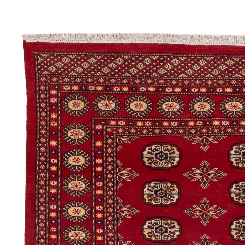 Tappeto Pakistani - 245 x 170 cm - rosso