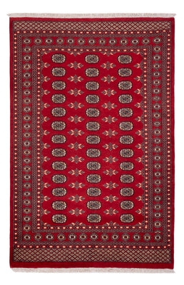 Tappeto Pakistani - 258 x 179 cm - rosso