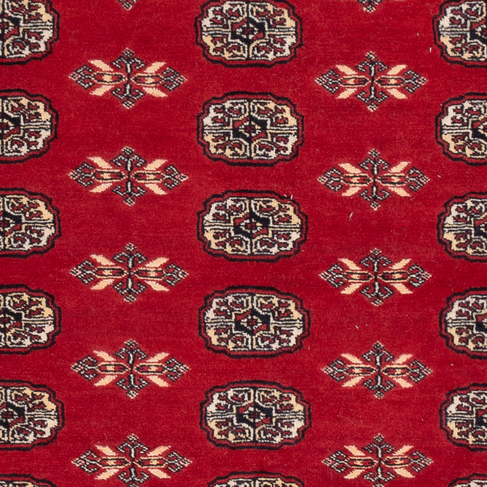Tappeto Pakistani - 258 x 179 cm - rosso