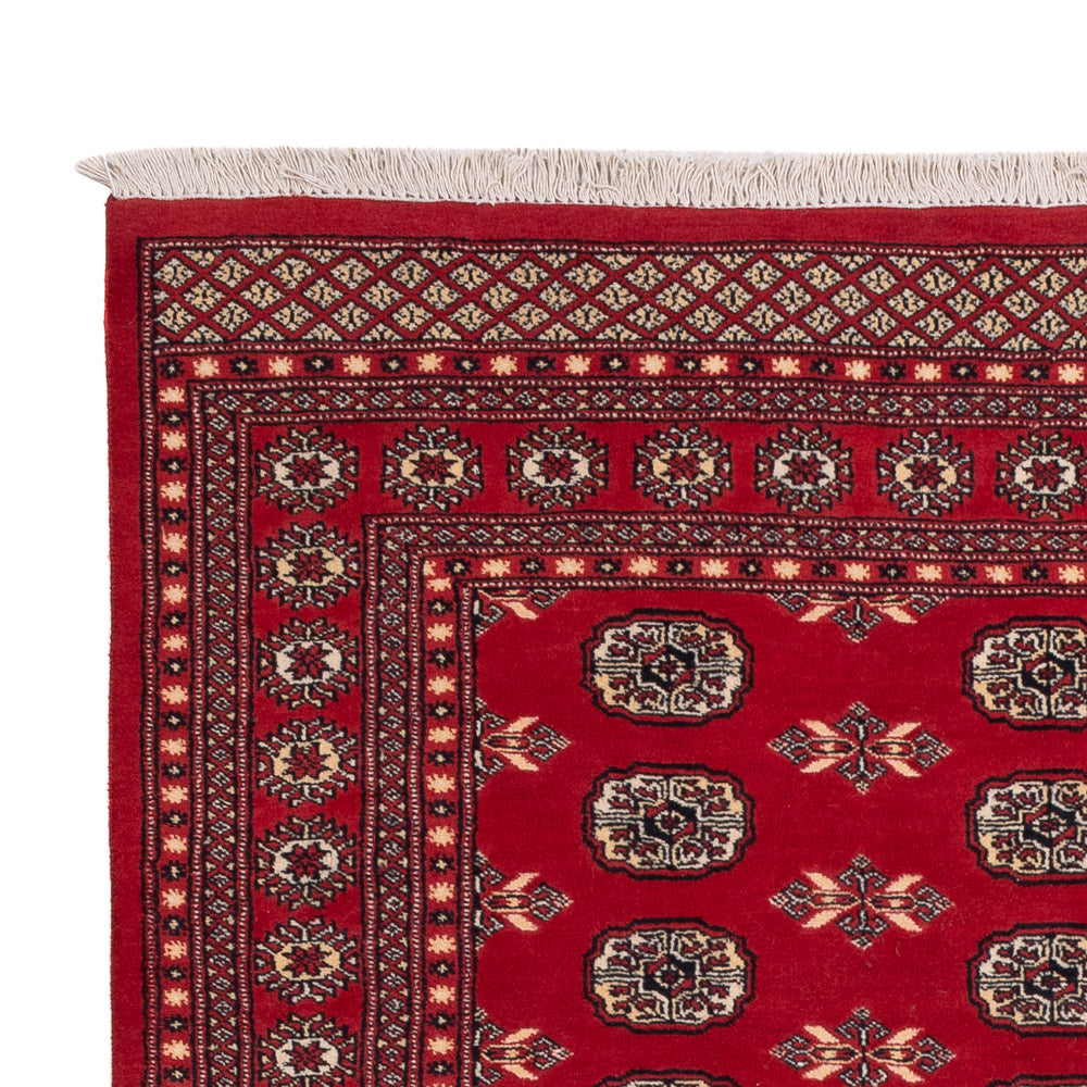 Tappeto Pakistani - 258 x 179 cm - rosso