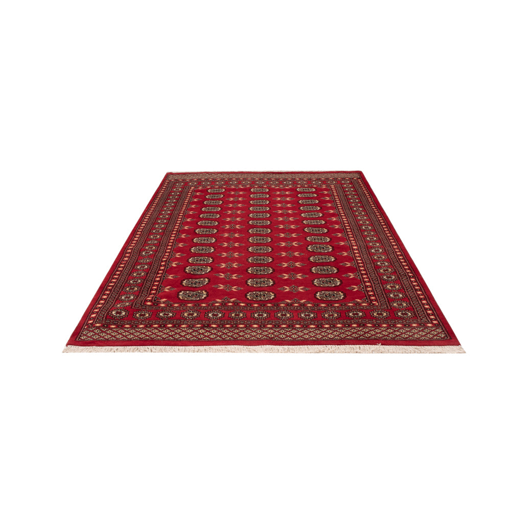 Tappeto Pakistani - 258 x 179 cm - rosso
