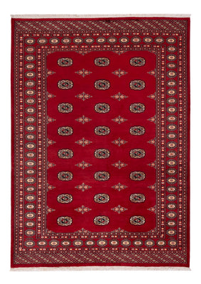 Tappeto Pakistani - 236 x 171 cm - rosso