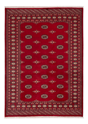 Tappeto Pakistani - 236 x 171 cm - rosso