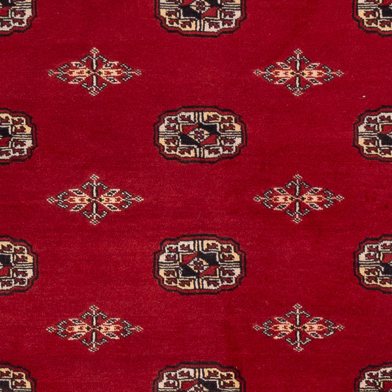 Tappeto Pakistani - 236 x 171 cm - rosso