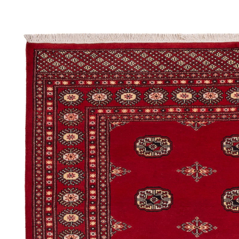 Tappeto Pakistani - 236 x 171 cm - rosso