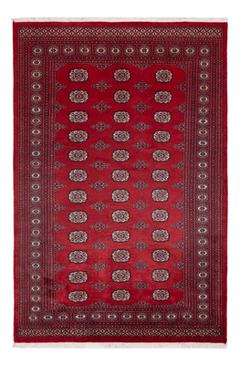 Tappeto Pakistani - 249 x 167 cm - rosso