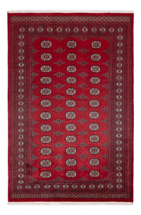 Tappeto Pakistani - 249 x 167 cm - rosso