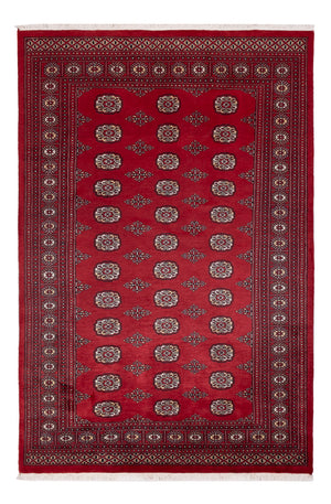 Tappeto Pakistani - 249 x 167 cm - rosso