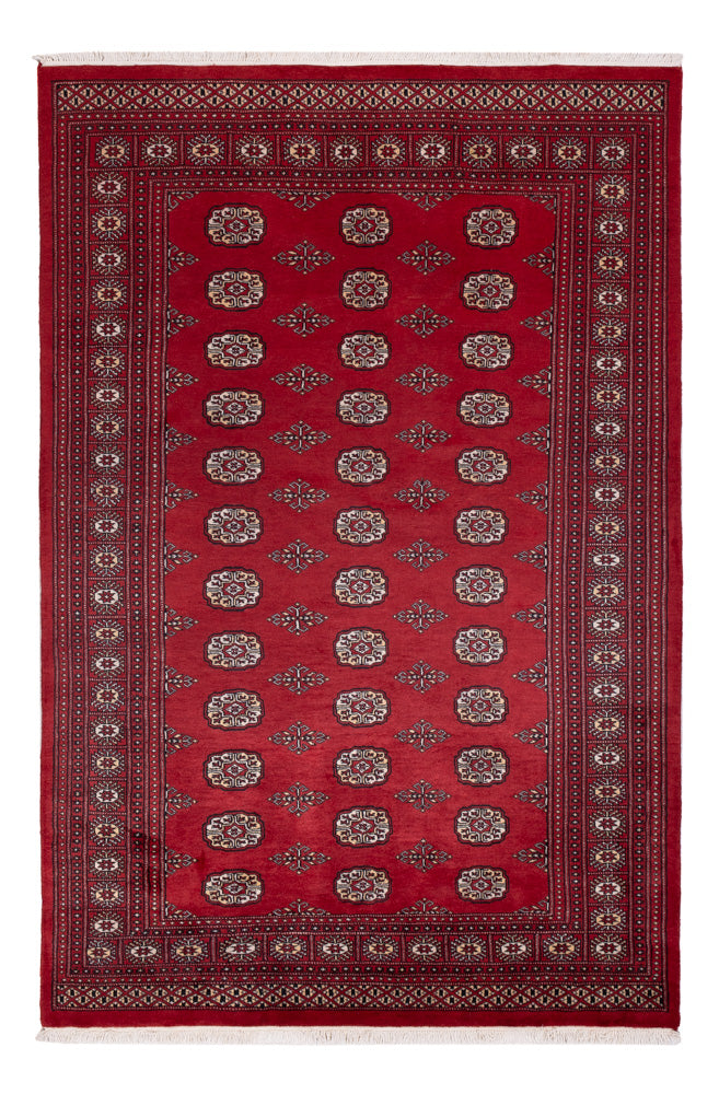 Tappeto Pakistani - 249 x 167 cm - rosso