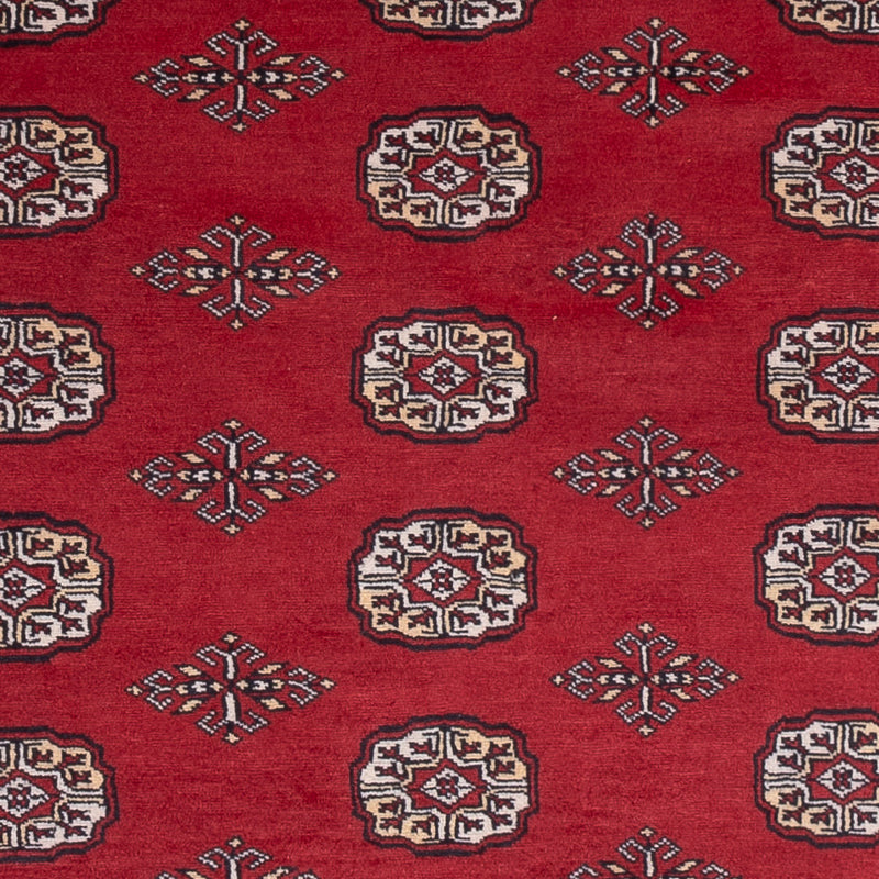 Tappeto Pakistani - 249 x 167 cm - rosso