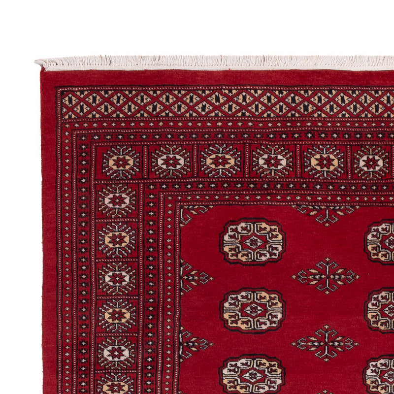Tappeto Pakistani - 249 x 167 cm - rosso