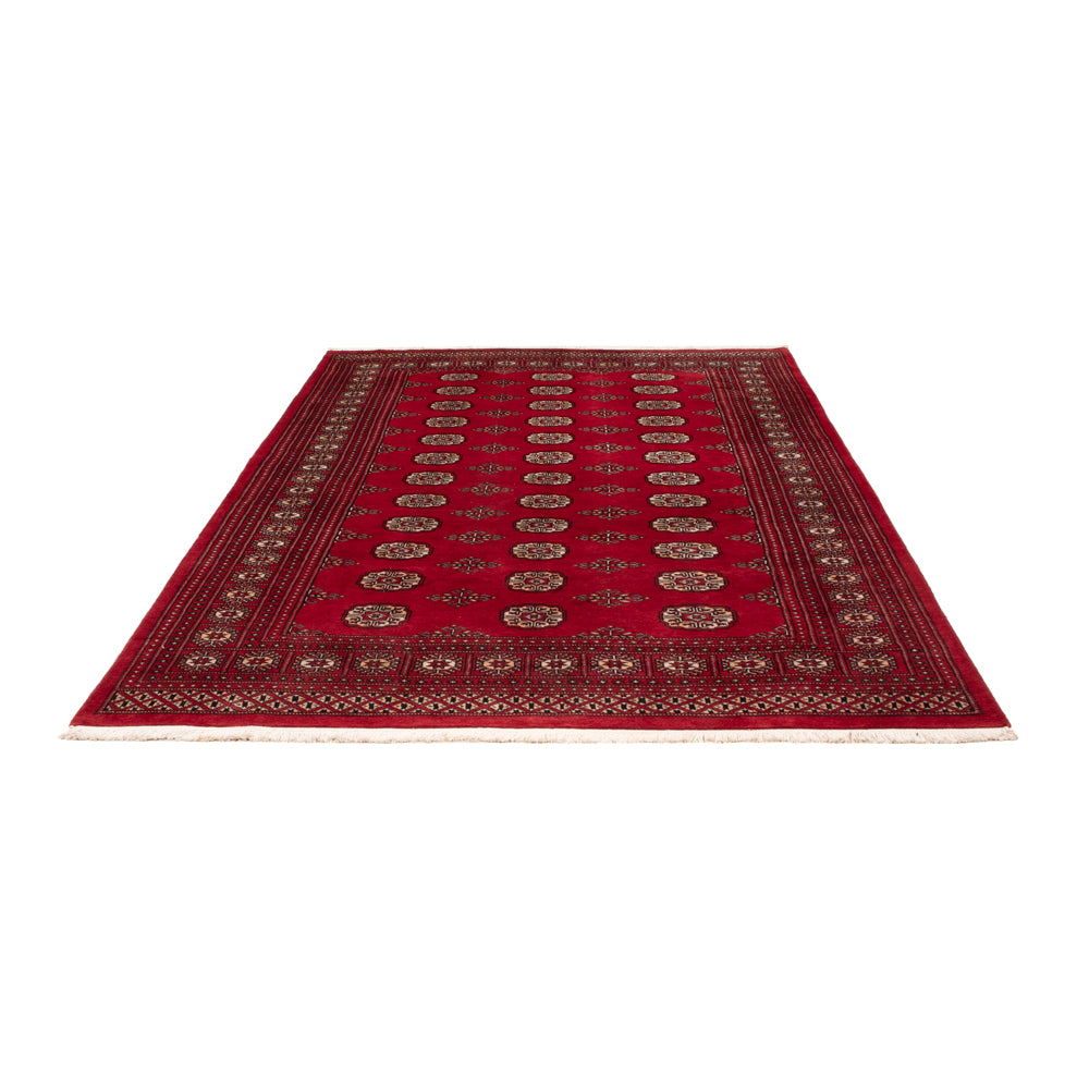Tappeto Pakistani - 249 x 167 cm - rosso