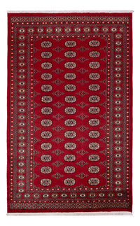 Tappeto Pakistani - 266 x 167 cm - rosso