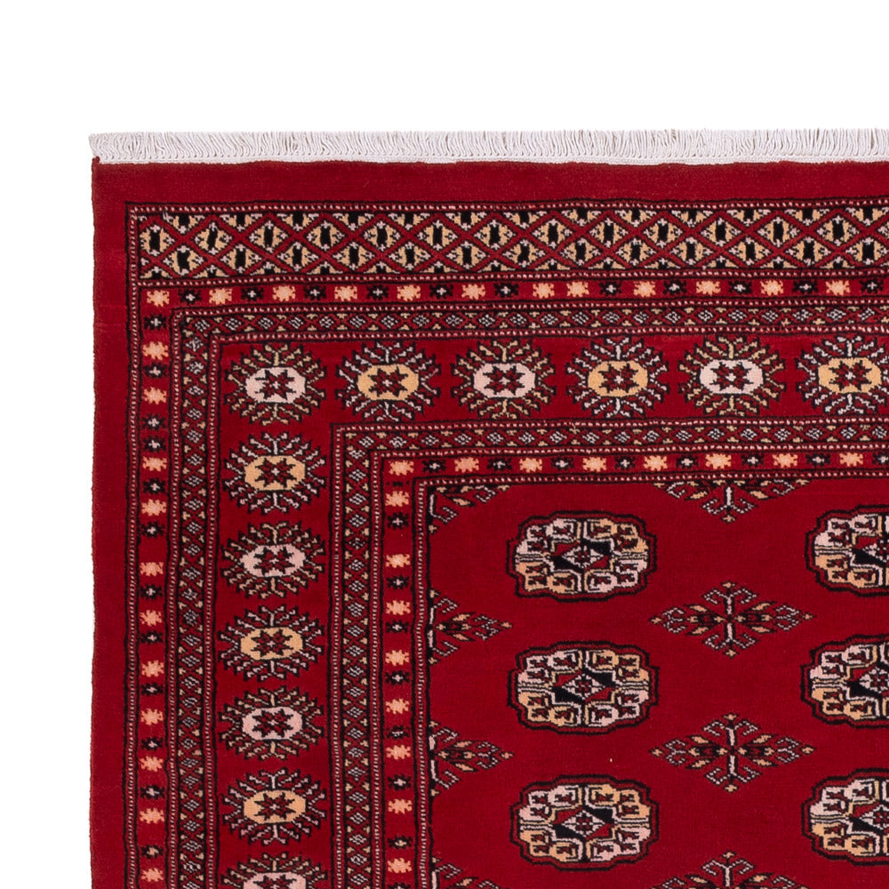 Tappeto Pakistani - 266 x 167 cm - rosso