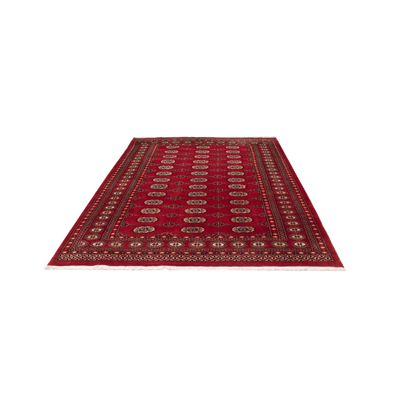 Tappeto Pakistani - 266 x 167 cm - rosso