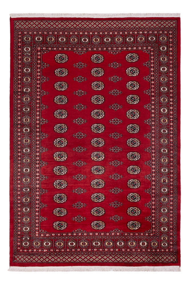 Tappeto Pakistani - 239 x 164 cm - rosso