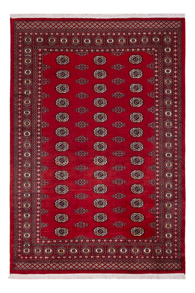 Tappeto Pakistani 164x239cm - Tappeto orientale