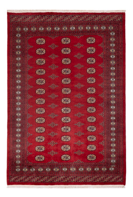 Tappeto Pakistani - 235 x 165 cm - rosso